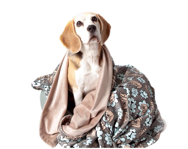 UTEX Premium Microfiber Pet Blanket, for Small/Medium/Large Dogs, Puppy Kitten Bed, Warm, Soft, Plush