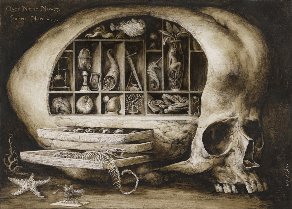 wunderkammer santiago caruso dark art