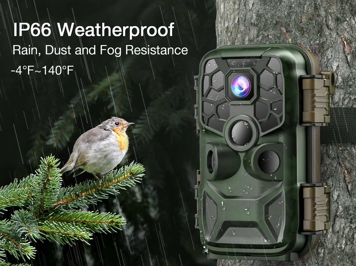 8 Best Trail Camera Under 100 in 2021 Campark Focus on Cameras