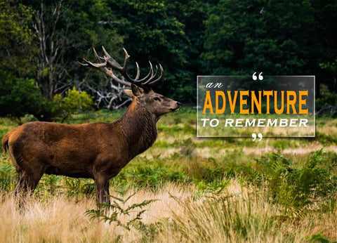 Top 5 Wildgame Cameras For Your Next Trophy Deer Hunt