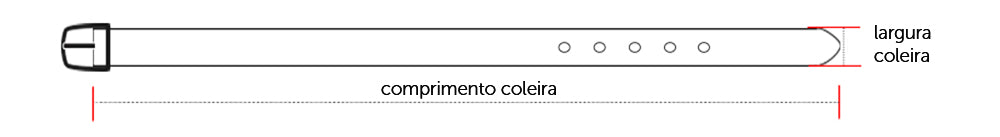 Como pedir o pescoço do seu Pet