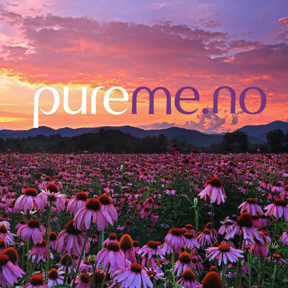 Om Pureme