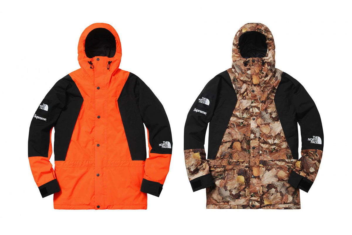 supreme the north face mountain light jacket