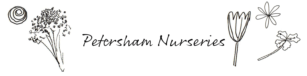 Petersham Nurseries 