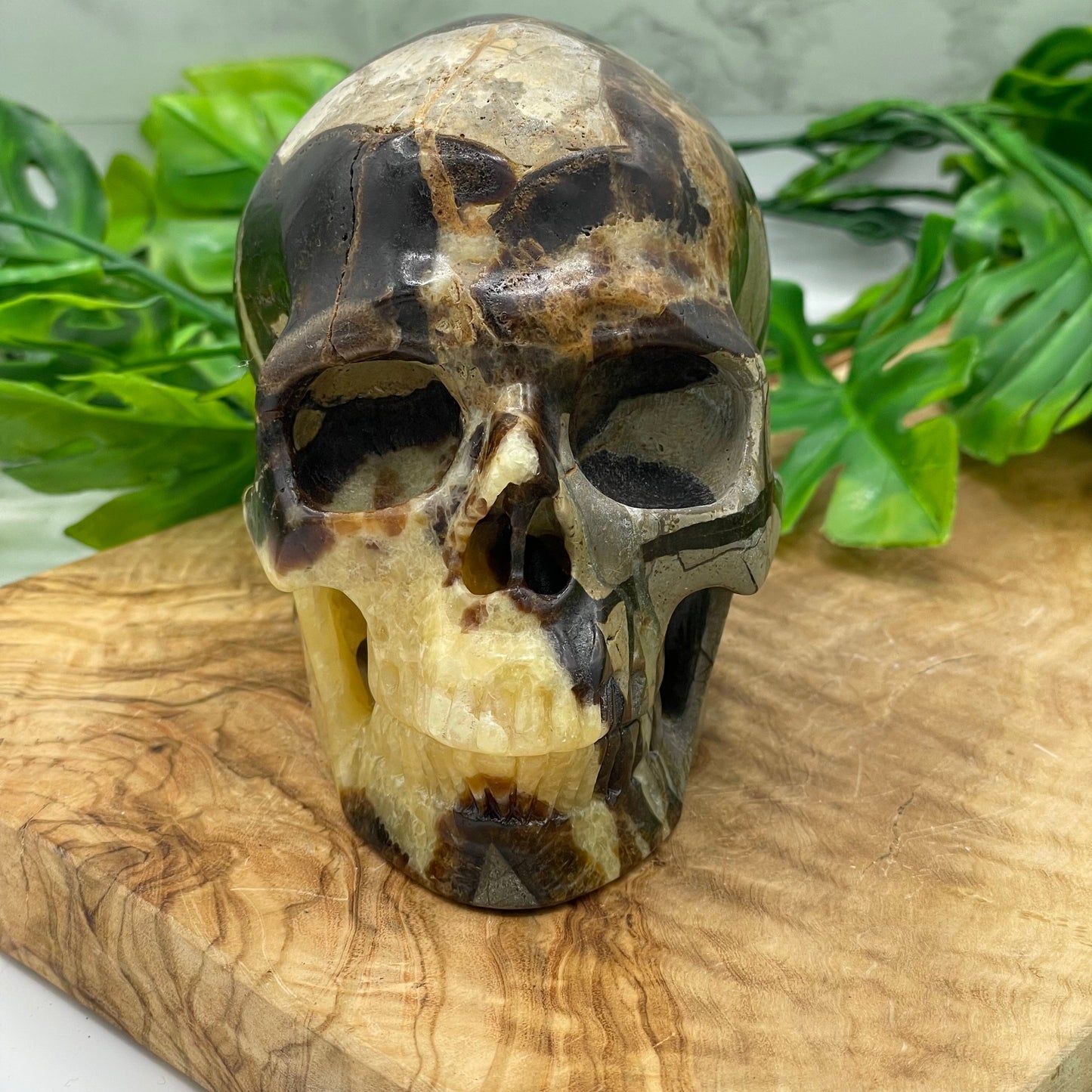 Septarian Skull