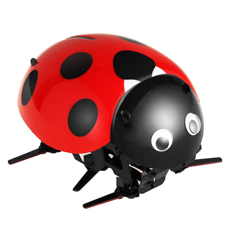 rc ladybug