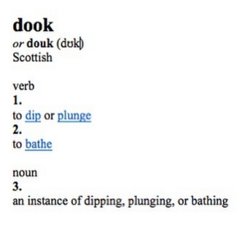 Dook's work dictionary meaning explanation