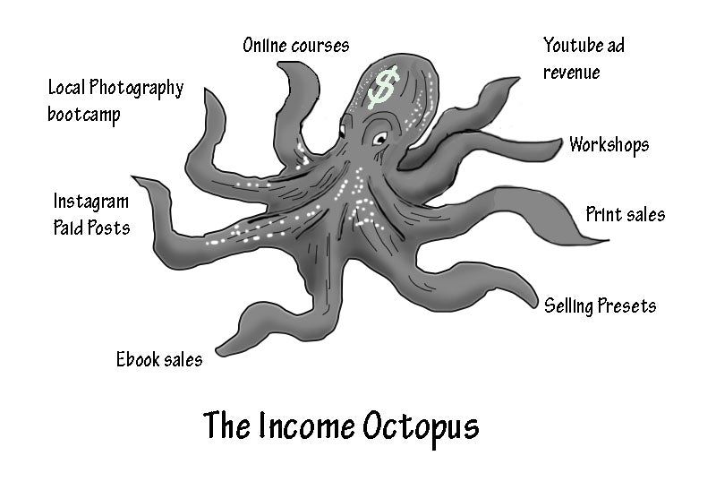 Income octopus