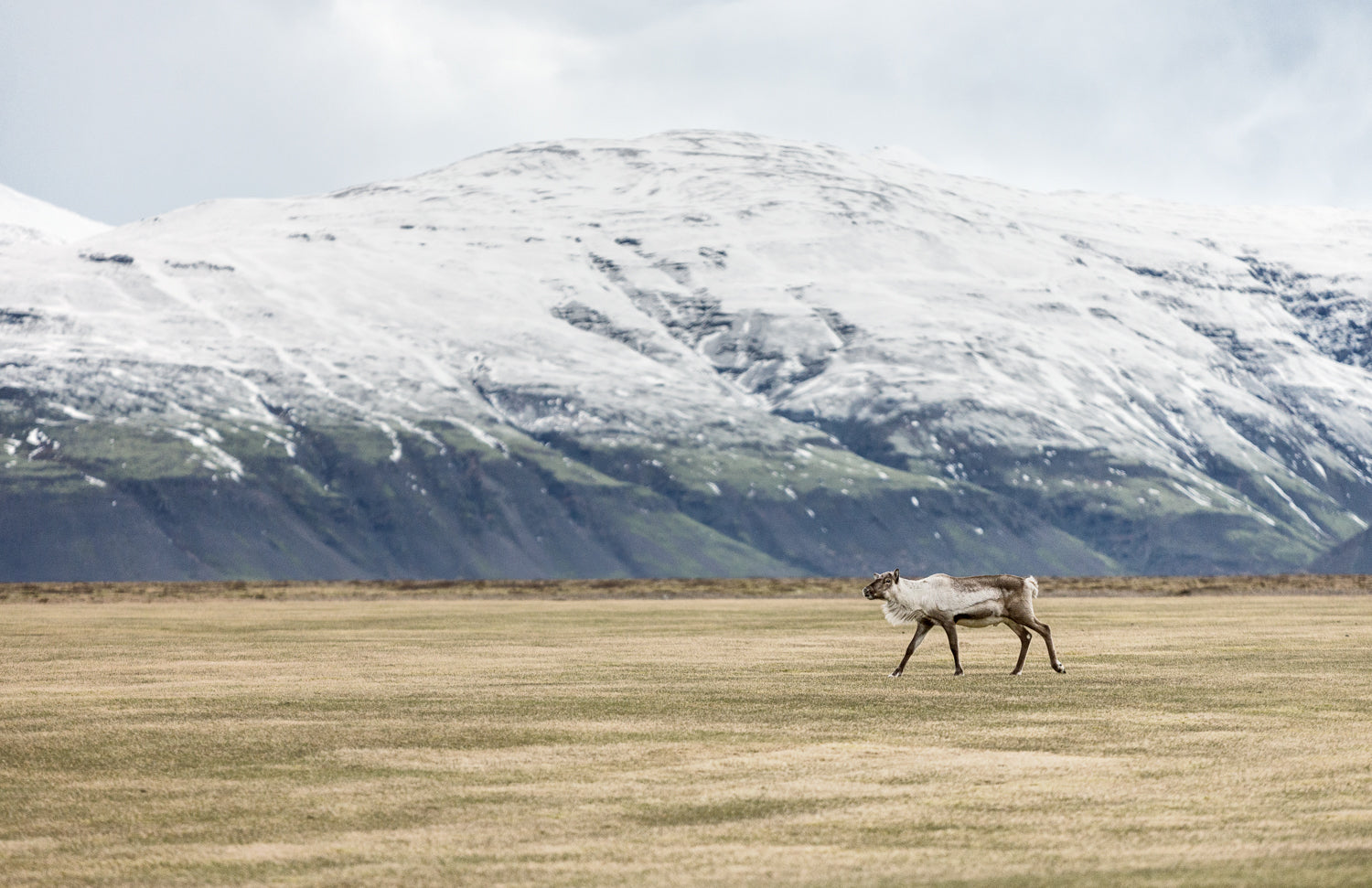 Photography Iceland. Iceland photography tips