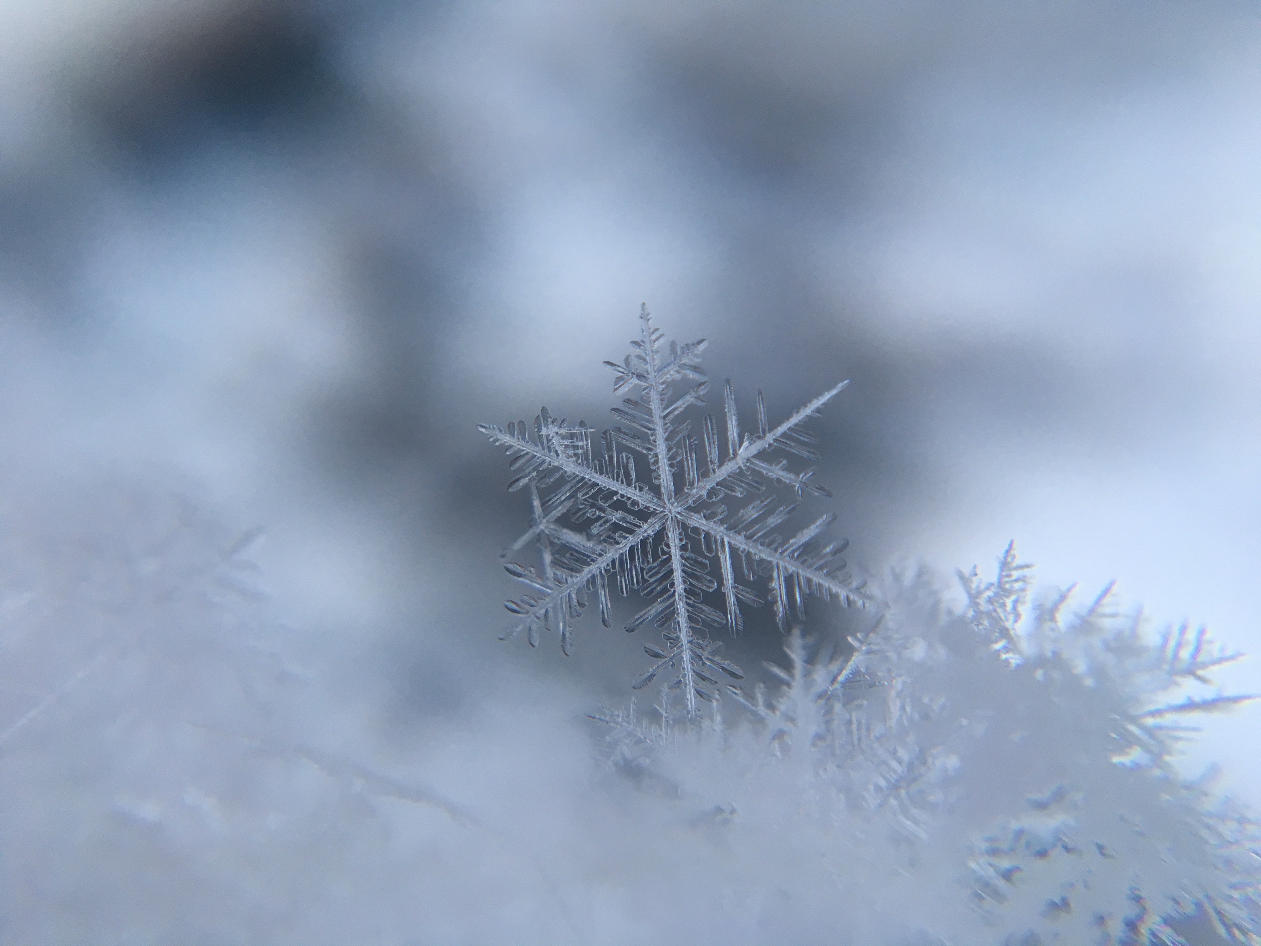 a tiny snowflake shown in great detail