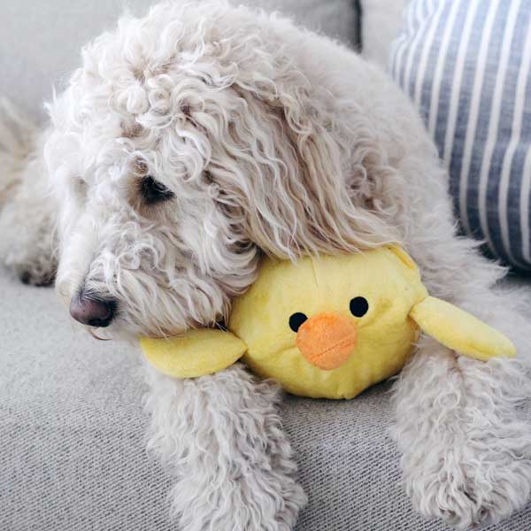 plush dog toys for heavy chewers