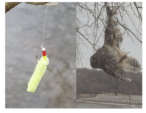 catch-a-lure catchalure fly retrieval tool device fly fishing dead owl lost lure fly