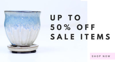 Up to 50% Off Sale Items!