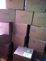 boxes of books in preparation for our May 9th books and logo launch