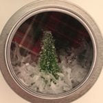 Magnetic Snow Globe