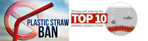 why no more plastic straws