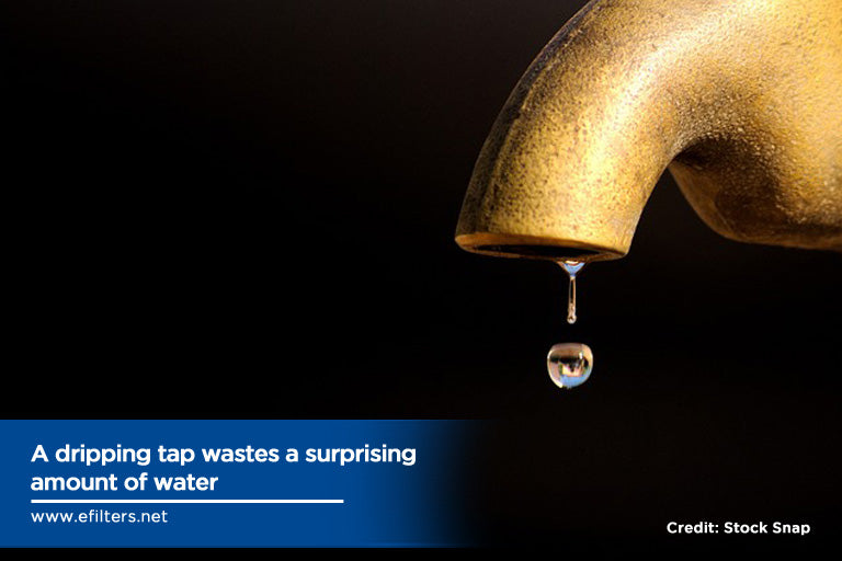 dripping tap wastes surprising amount of water