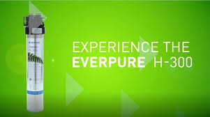 Everpure H300