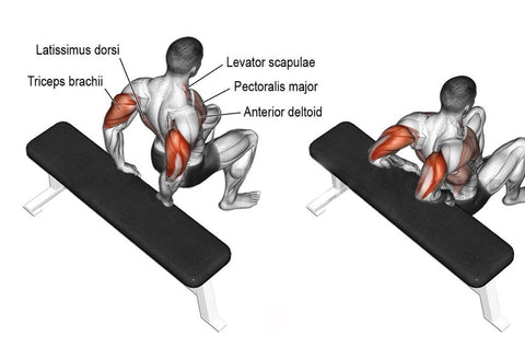 <img src="tricepdips.png" alt="Tricep Dips">