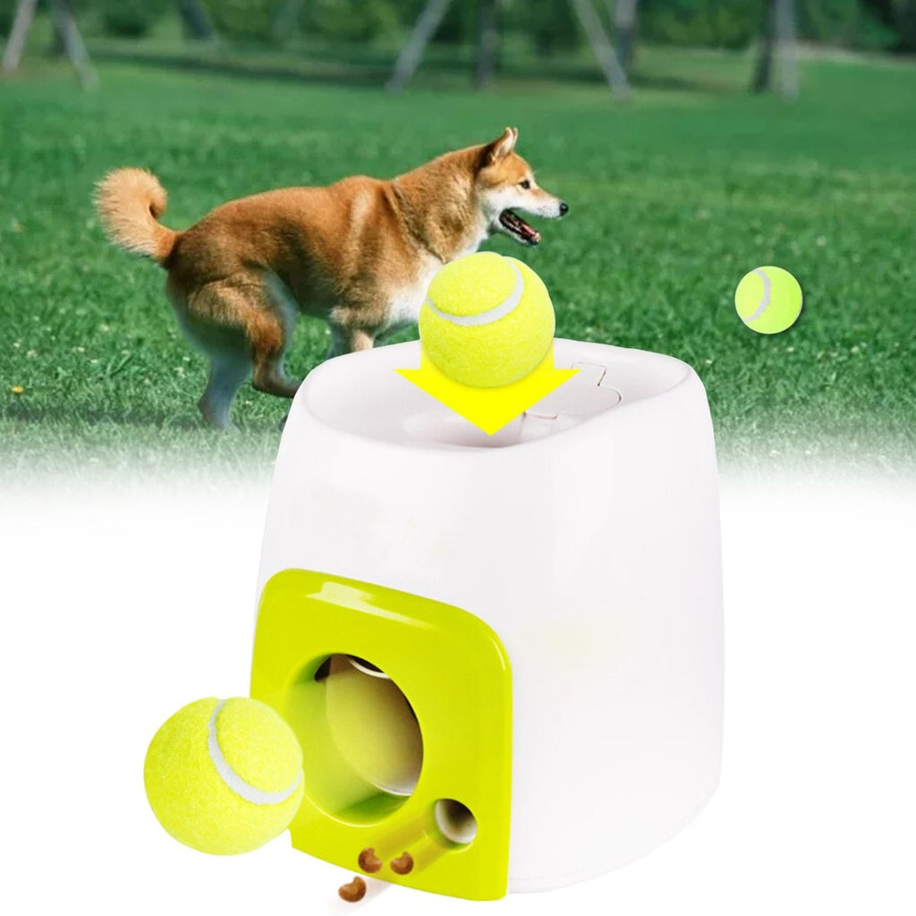 Interactive Tennis Ball Launcher — Pup 