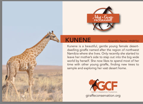 jiraffe threads adopted giraffe kunene