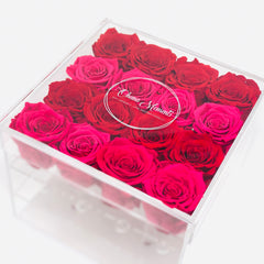 red and pink ombre preserved forever roses that last a year