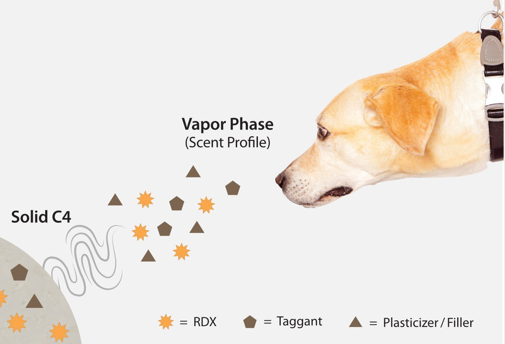 Illustration of K-9 and the scent profile of a C4 explosive sample