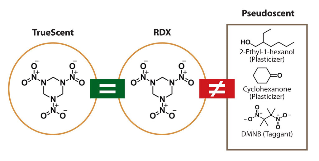 Illustration showing that TrueScent RDX is chemically identical to RDX while pseudoscent is not.