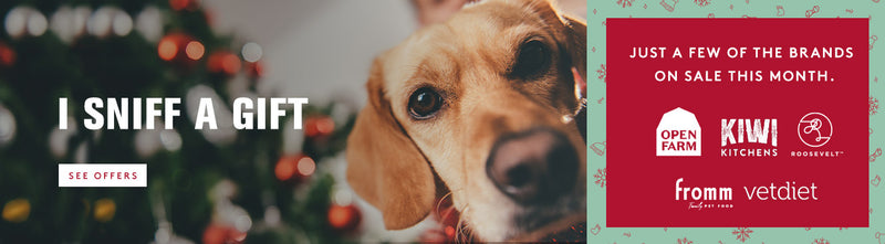 金毛寻回犬在圣诞树的背景下抬头，“我嗅到了一份礼物”.  这个月只有几个品牌在打折. 现在就购买所有的优惠