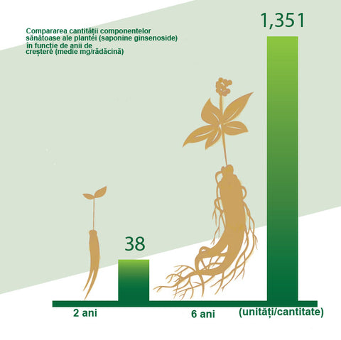 Compararea cantității componentelor sănătoase ale plantei (saponine ginsenoside)