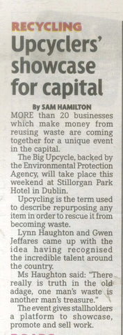 upcyclers showcase for capitol Irish Daily Mirror