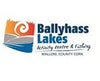 ballyhass lakes the upcycle movement