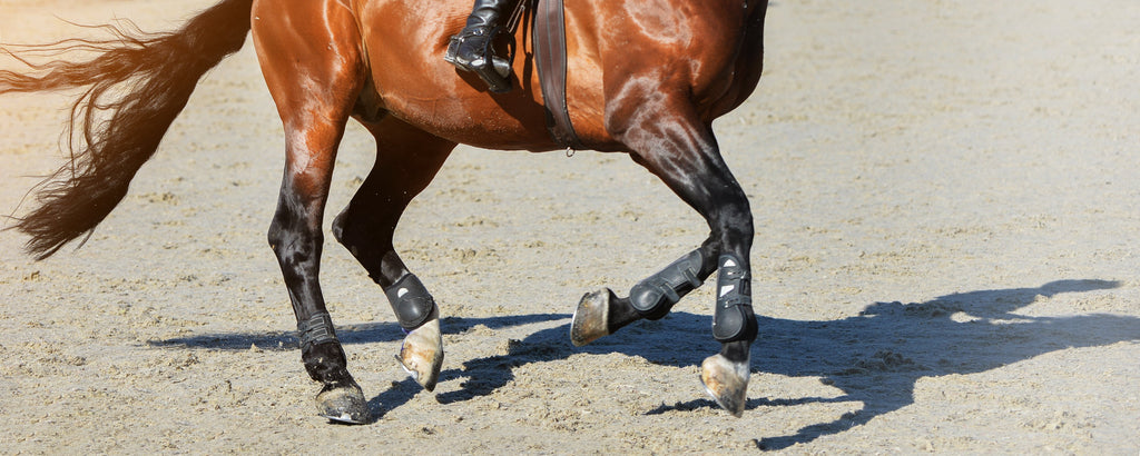 sausage boot horse