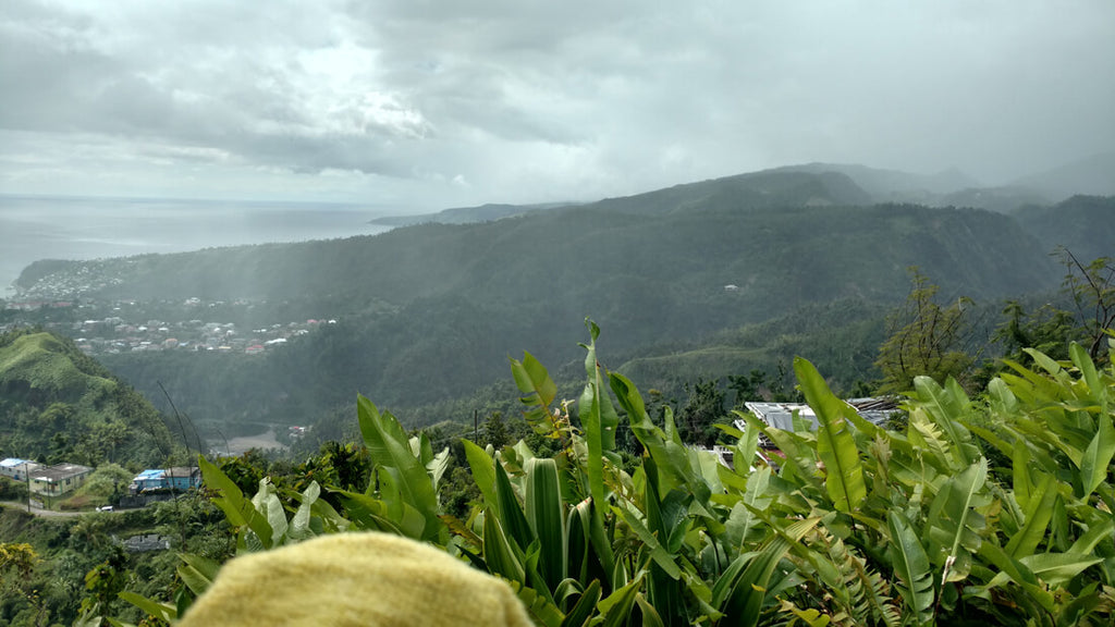 View from Eggleston, Dominica