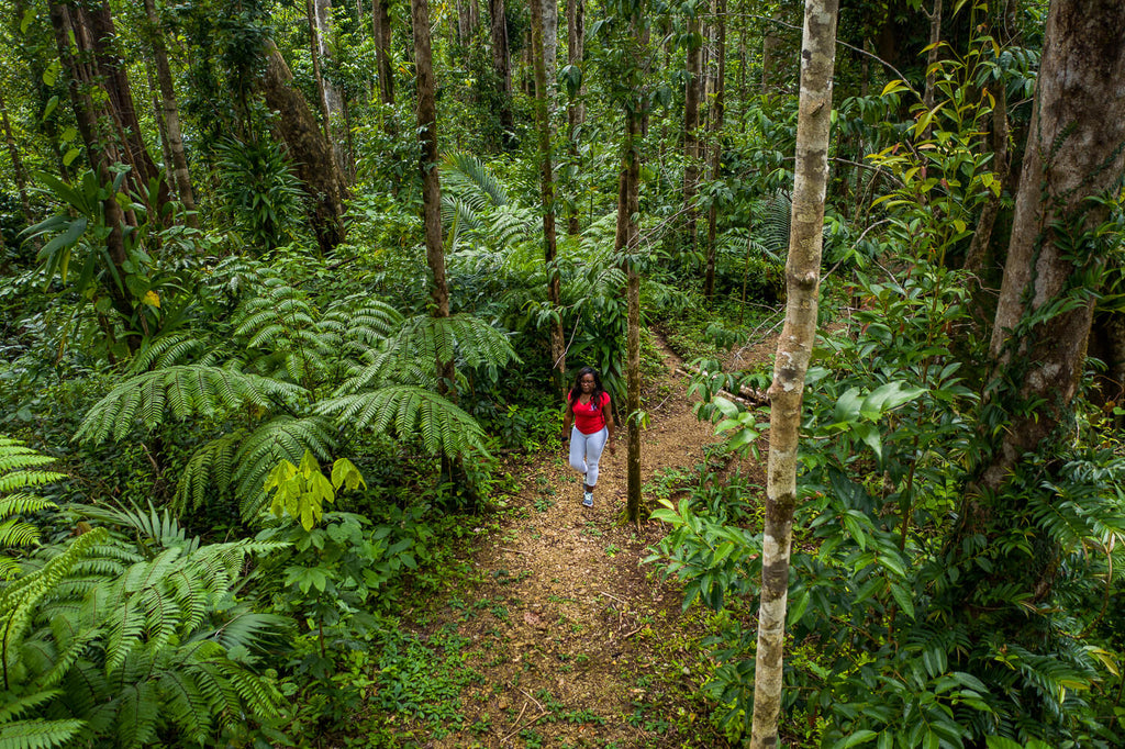 Syndicate Trail, Dominica (for Dominica Hotel & Tourism Association)