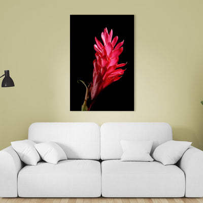 Canvas print of Red Ginger I by Yuri A Jones