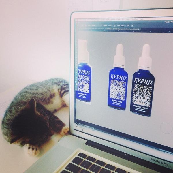 Our Design Assistant