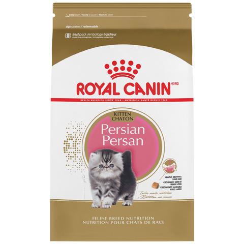 kitten chaton royal canin