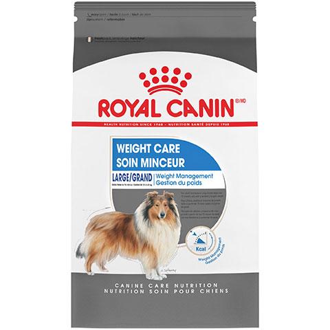 royal canin dog food