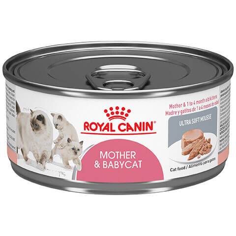 royal canin mother and baby mousse