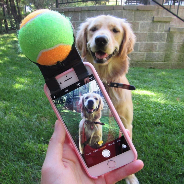selfie dog ball