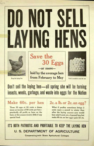 Patriotic Egg Poster