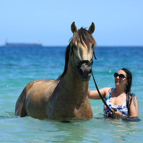 Bec and her homebred Lusitano stallion (now owned by K. Mcleod)