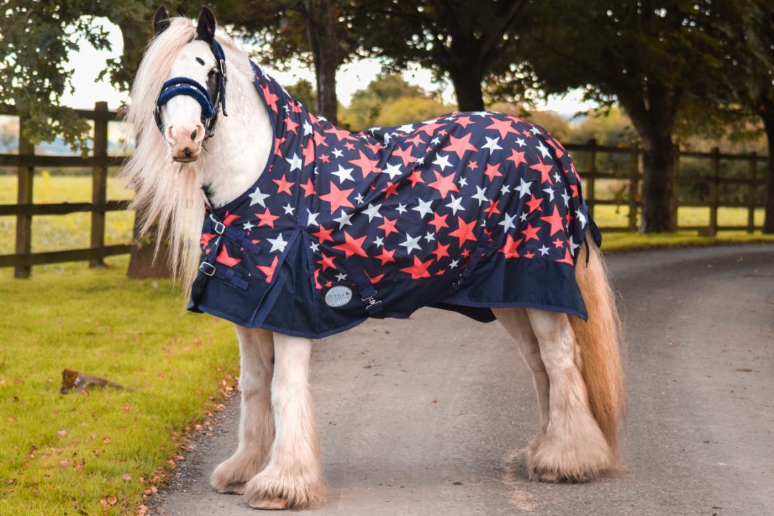 Winter 600D Turnout Horse Rugs 50g HALF Neck Xtra Thick Navy White Star 5'3-6'9