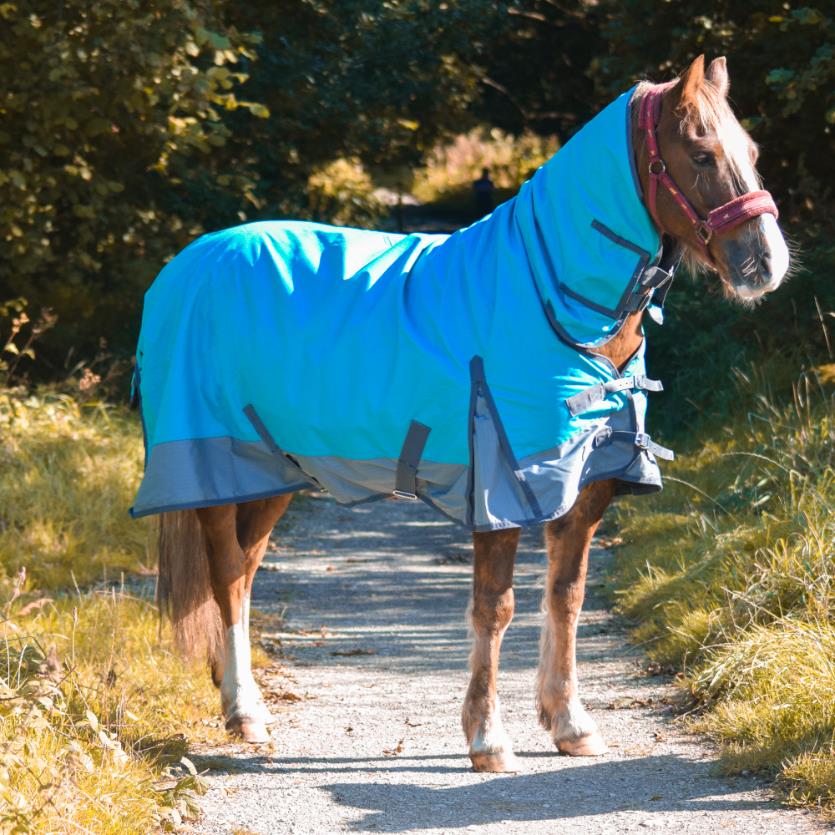 Outdoor Winter Turnout Horse 100gsm Combo Full Neck Wateproof Aqua/Grey 5'3-6'9
