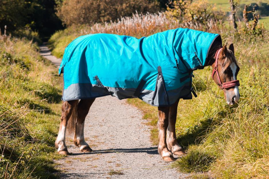 600D Outdoor Winter Turnout Horse Rugs 150g Combo Full Neck Aqua/Grey 5'3-6'9