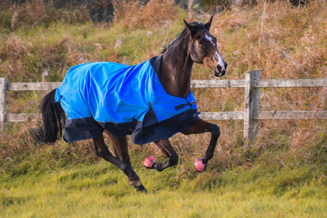 600 Denier Mediumweight 50g Horse Turnout Rug HALF Neck Outdor Blue/Navy 5'3-6'9
