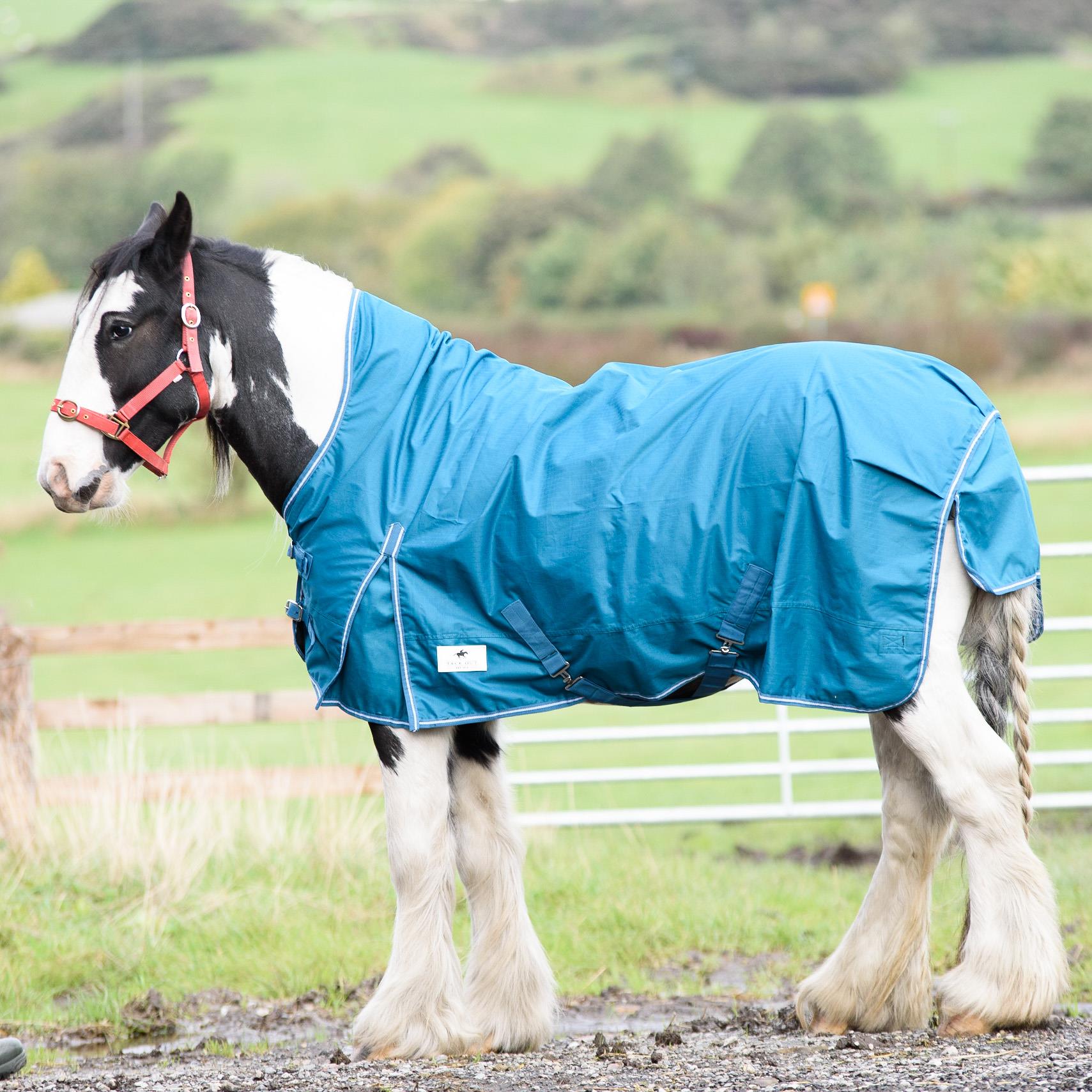 Outdoor Mediumwite Turnout 600 Denier HALF Neck 50G Fill Horse Rug Turquoise 5'6-6'9