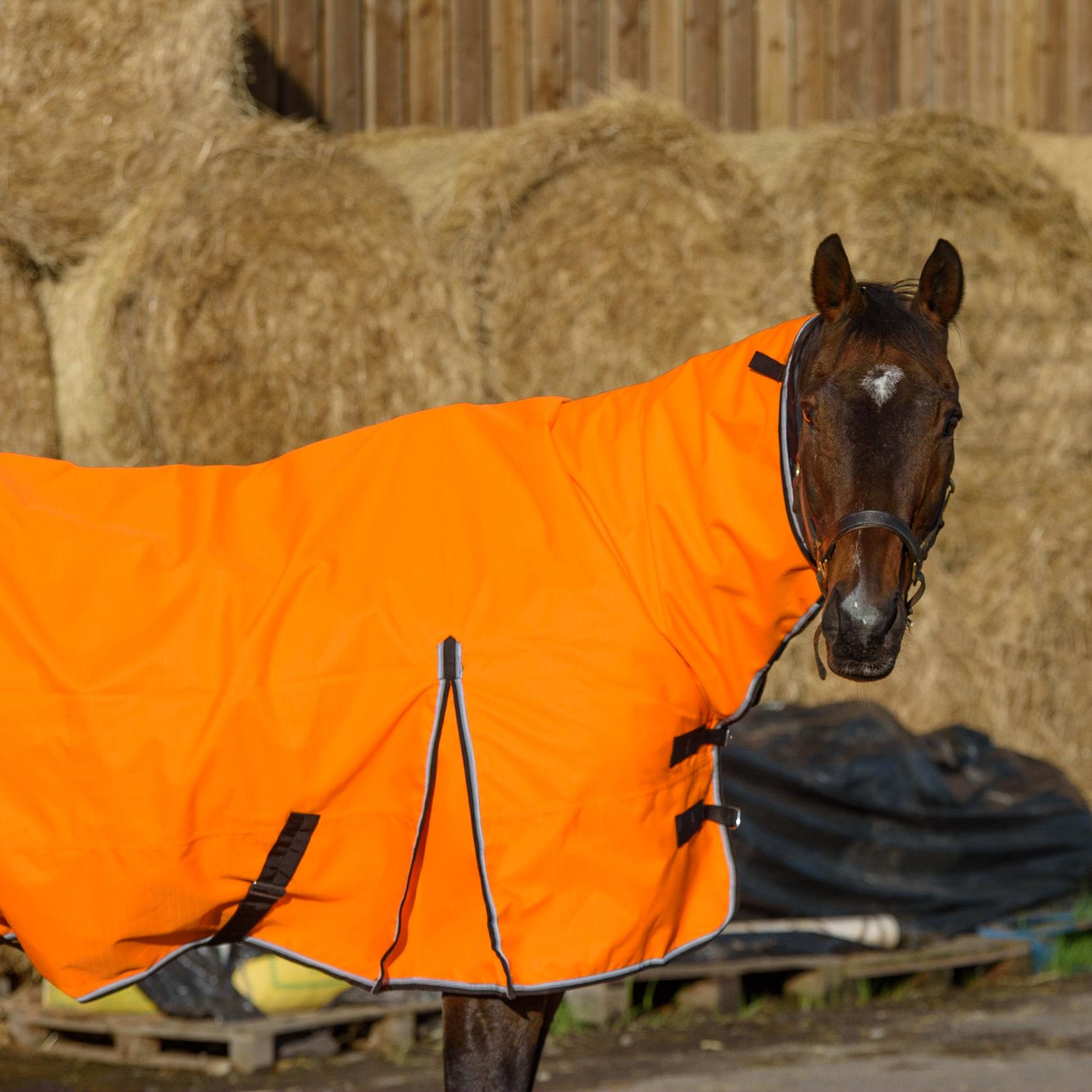 1200D Outdoor Winter Turnout Horse Rugs 100G Fill Combo Teflon Orange 5'3-6'9