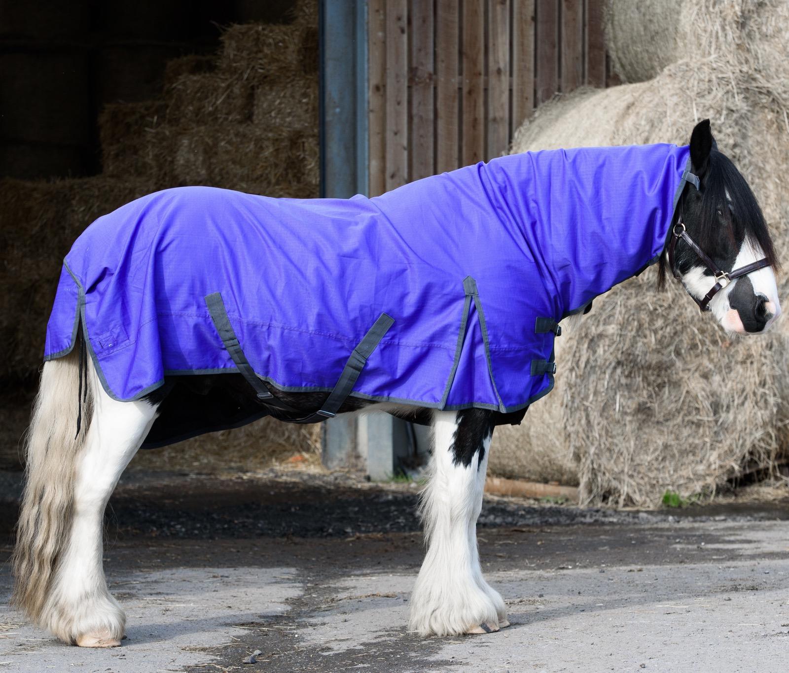 600D Outdoor Mediumweight Turnout 50G Fill COMBO Thermo Horse Rug Purple 5'6-6'9